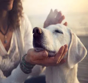 anthony-duran-eLUBGqKGdE4-unsplash-570x380-1-1 (1) anthony-duran-eLUBGqKGdE4-unsplash-570x380-1-1 (1)