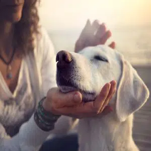 anthony-duran-eLUBGqKGdE4-unsplash-570x380-1-1 (1)