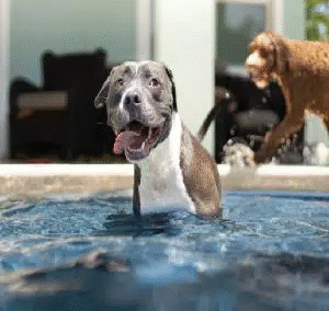 anthony-duran-eLUBGqKGdE4-unsplash-570x380-1 (1) (1) anthony-duran-eLUBGqKGdE4-unsplash-570x380-1 (1) (1)