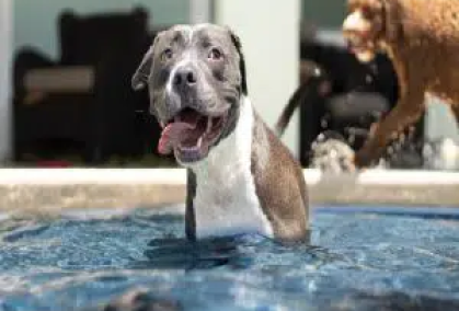 anthony-duran-eLUBGqKGdE4-unsplash-570x380-1 (1) (1) anthony-duran-eLUBGqKGdE4-unsplash-570x380-1 (1) (1)