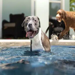 anthony-duran-eLUBGqKGdE4-unsplash-570x380-1 (1) (1)