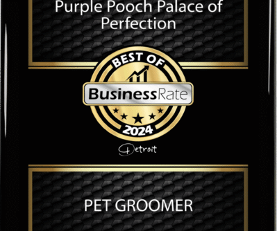 5544847-Plaque_Award